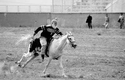 Our favorite cirit rider, with his bushy white beard, is racing to throw down a challenge with his spear. Photos: Kinney