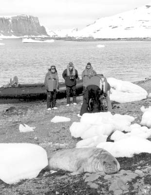 An elephant seal ignores our landing party.