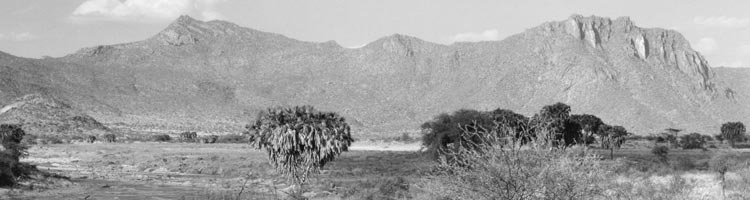 The scenery is majestic in Shabu and Samburu national reserves.