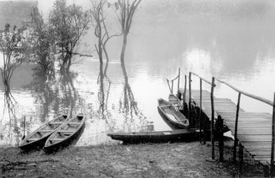 A foggy morning in front of Tahuayo Lodge — Peru.