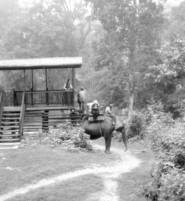 Preparing for an elephant safari.