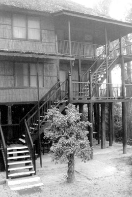 Bungalows at Tiger Tops Jungle Lodge.