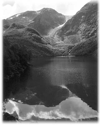 Boden Glacier tumbles out of the mountains.