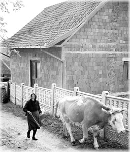 A backroads village scene.