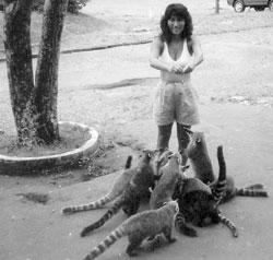  I’m feeding coatimundis some bread, although they preferred my friend’s ice cream more. 