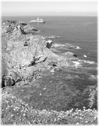  Godrevy Point with Godrevy Lighthouse in the background.