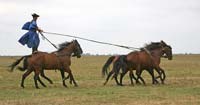 Herdsmen show off their horse-riding skills.