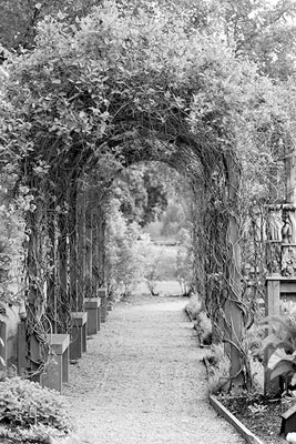 An arbor of honeysuckle in the Renaissance garden behind the Vasa Museum.