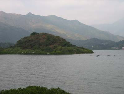 The Yuen Yuen Institute may be one of the best places in Hong Kong to experience peace and quiet.