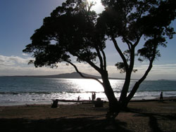 City beach, Auckland. Rangitoto Island is in the background.