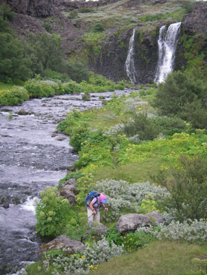 The hidden valley of Gjáin is an Eden of waterfalls, bubbling streams, wildflowers and exotic rock formations. 