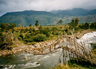 Dani ladies crossing a bridge over the Wamena River — Irian Jaya. Photo: Lybrand