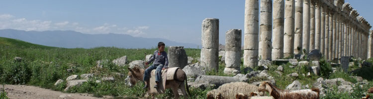 A young shepherd in Apamea.