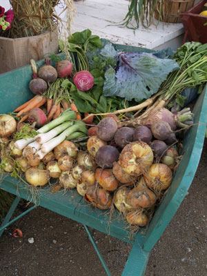 Heirloom fruits and vegetables aplenty from various gardens throughout Kings Landing.