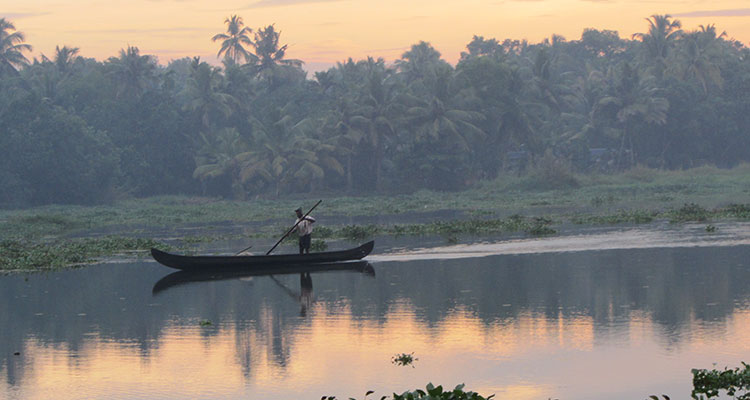 View from Philipkutty’s Farm.