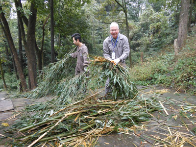 Richard Newlin cleaning up at the panda preserve.