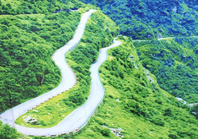 This climbing, curving road separates the green vegetation from the dry high desert.