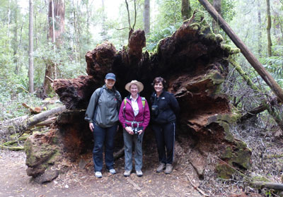 Travelers Megan Schultz, Anne Taylor and Mary Anne Scott.