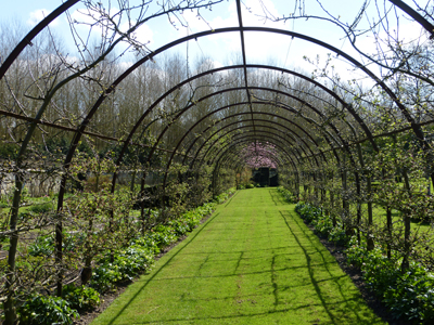 The apple allée, an idea borrowed from Highgrove House, residence of England’s Prince Charles.