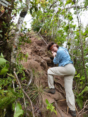 Lois on the Cross-Island Track — Rarotonga. Photos by Steve Lopes