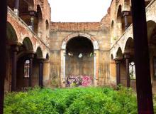 Nature is reclaiming a 19thcentury synagogue near the Danube in Vidin, Bulgaria, abandoned during the Soviet era.