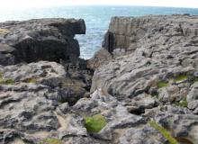 The Burren at Black Head, north of Doolin. Photo by Louise Messner