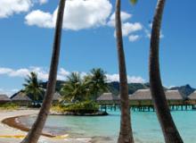 An azure sky, towering palms and turquoise waters — idyllic Bora Bora. Photo by 