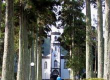 Magnificent stands of trees grace the Sete Cidades landscape. Photos: Gail Keck