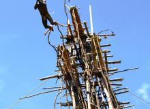 During the April-to-June yam festival on Pentecost island, land divers risk life and limb to show their masculine prowess.