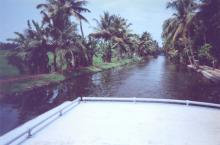 Jean Fischer’s photo of a narrow channel she visited in India’s Kerala backwaters during a cruise ship shore excursion in 2012