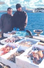 Fishermen displaying their catch at the harbor in Trani. Photos by Helen Harper