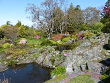 Ponds were created in the natural indentations of granite boulders — Abkhazi Garden.