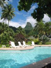 Swimming pool at Club Bali Hai Hotel, Moorea.