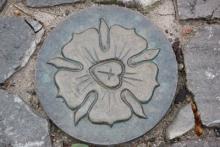 A Luther rose in the courtyard of Martin Luther’s birth house in Lutherstadt Eis