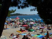 Pine trees hug the beaches along the Adriatic coast. This was the view from our hotel balcony in Makarska. Photo: Josip Palic´