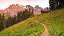 A winding path in Switzerland’s Berner Oberland region. Photo by Dominic Arizona Bonuccelli