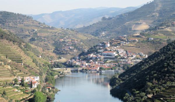 Quinta do Seixo vineyards and the town of Pinhão (and our docked ship, Queen Isabel, at back right). Photo by Stephen Addison