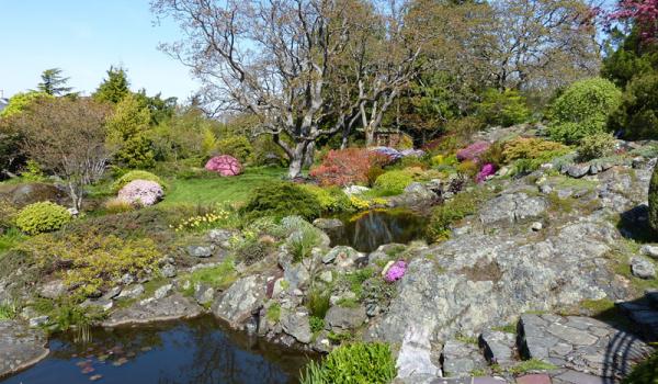 Ponds were created in the natural indentations of granite boulders — Abkhazi Garden.