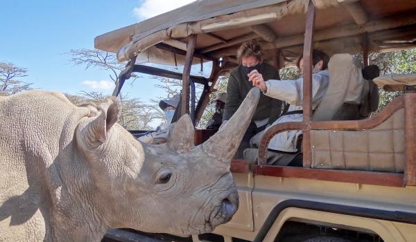 Feeding one of the last two remaining northern white rhinos.