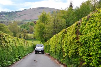 Driving the back roads (as here, in Dartmoor, England) yields surprises by the mile. Photo by Cameron Hewitt