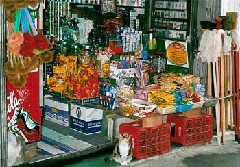 We spent a day island-hopping in the South China Sea, and this alert cat in front of a small shop caught our attention.