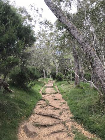 A typical hiking trail on Réunion.