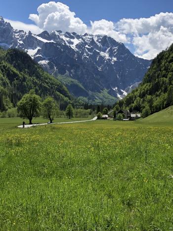 The picturesque Logarska Dolina, Slovenia. 