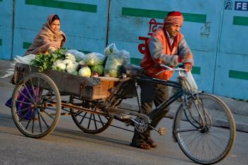 I was inspired by the teamwork of this couple as they pushed their cart filled with produce up a small incline.