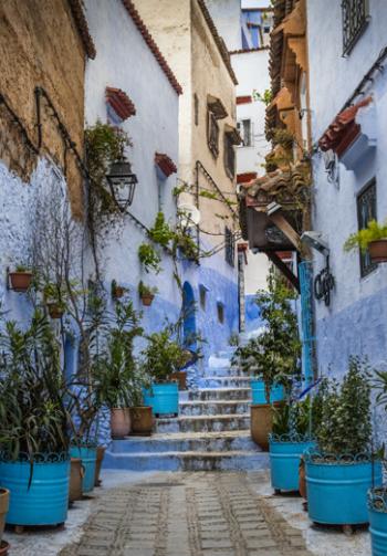 Blue pots line a walkway in Chefchaouen.