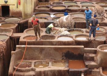 The famous tannery in Fes’ medina.