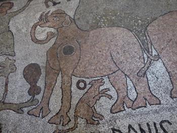 Twelfth-century mosaics portraying fantastical beasts and stories from the Bible can be found on the floor of Otranto Cathedral. Photos by Thom Wilson