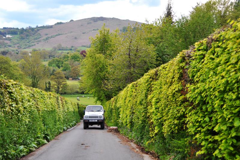 Driving the back roads (as here, in Dartmoor, England) yields surprises by the mile. Photo by Cameron Hewitt